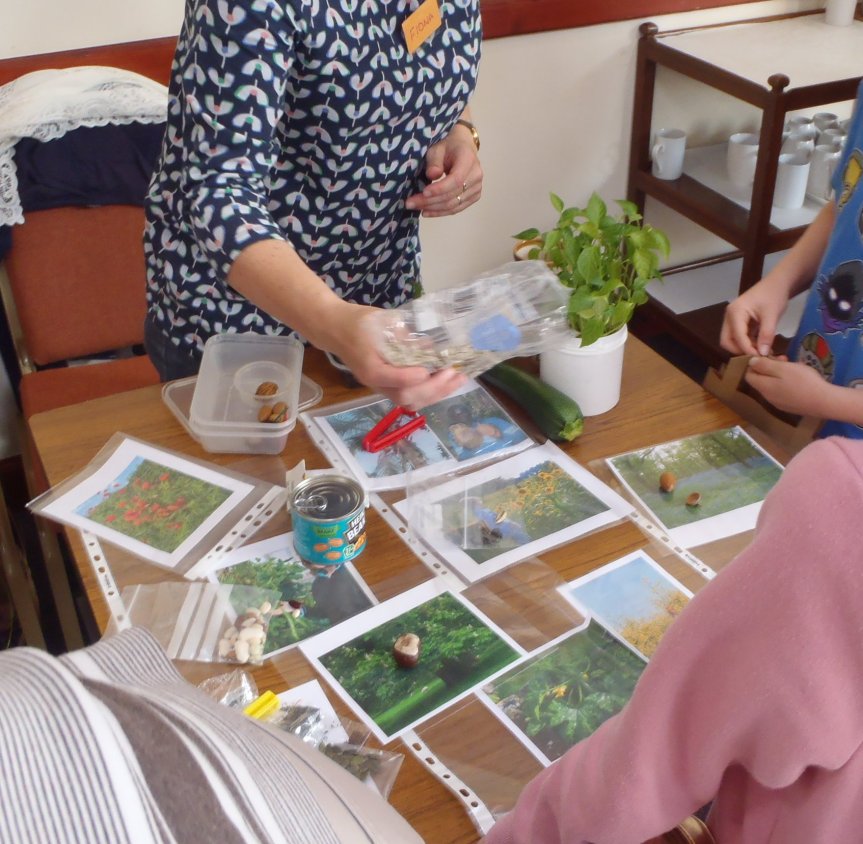 seed and plant matchup